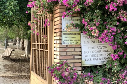 Acceso al resto del parque desde el parque infantil.