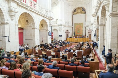 Aspecto general del salón de plenos.