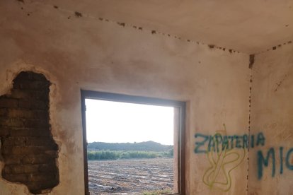 La agricultura intensiva es lo que se observa hoy a través de las ventanas de este piso.