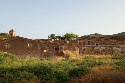 Interior lleno de vegetación en el Cortijo del Fraile