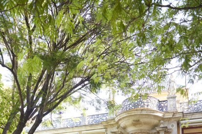 Foto de familia en los exteriores de San Telmo.