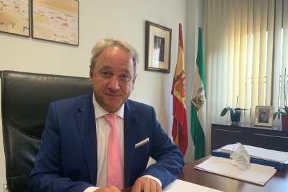 Diego Vargas, director gerente del Servicio Andaluz de Salud (SAS).