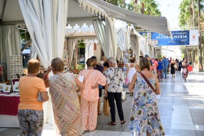 Los más curiosos se acercaban a los puestos situados en la avenida.