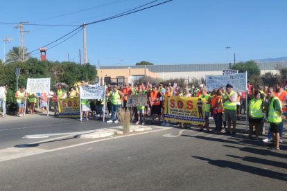 Imagen general de la manifestación.
