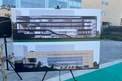 Recreación de las futuras Consultas Externas.