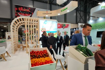 Colores y sabores almerienses en Madrid.