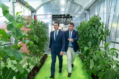 Javier Aureliano García, presidente de la Diputación, y el diputado de Presidencia, Fernando Giménez, visitan un montaje de invernadero en Fruit Attraction.