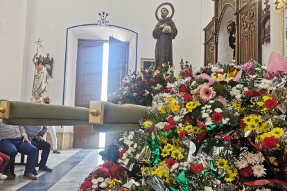 San Francisco junto a las flores.