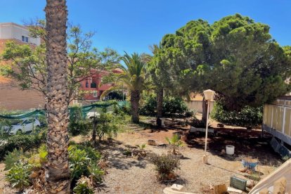 Jardín de la propiedad puesta en venta por la Diócesis en Aguadulce.