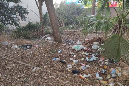 Hay parques, jardines, solares, aceras, vías urbanas que concentran suciedad. 