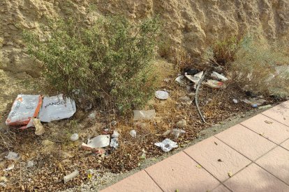 Uno de los estercoleros, en línea, lindante con el complejo sanitario, por la avenida de Torrecárdenas