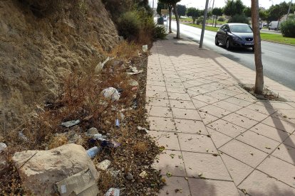 Uno de los estercoleros, en línea, lindante con el complejo sanitario, por la avenida de Torrecárdenas.