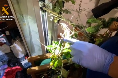 La Guardia Civil de la Comandancia de Almerí, Roquetas de Mar.