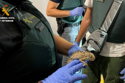 La Guardia Civil de la Comandancia de Almerí, Roquetas de Mar.