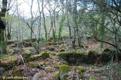 Castro Cavadoso, un antiguo burgo medieval.