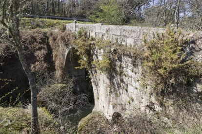 Ponte Longal de Ponte Veiga, cruza el río Arenteiro.