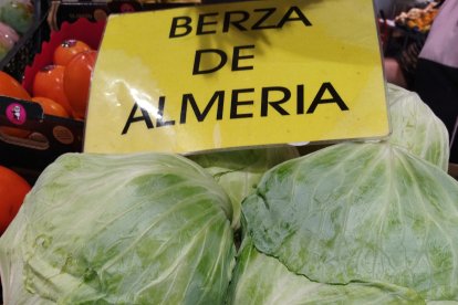 Verduras de Almería.