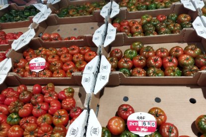 Tomates.