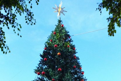 Árbol de Navidad instalado en la Plaza cerca la Iglesia de San Isidro.