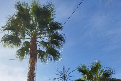 Árbol de Navidad instalado en La Plaza Mayor.