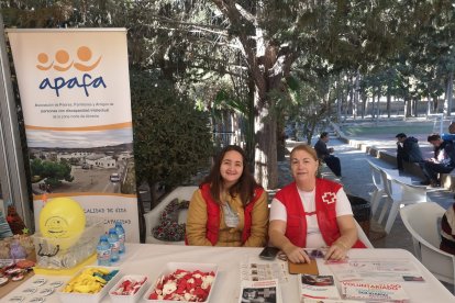 La Asociación de Padres Familiares y Amigos de las personas con discapacidad intelectual y voluntarios de Cruz Roja.