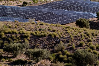 Premio de Responsabilidad Social a Cosentino.