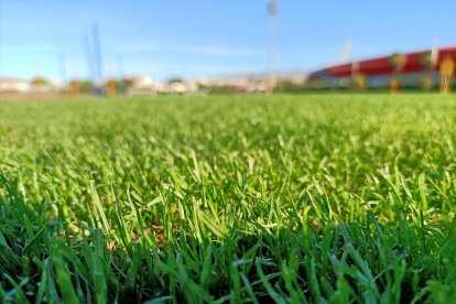 Los jugadores se han encontrado con un gran campo.