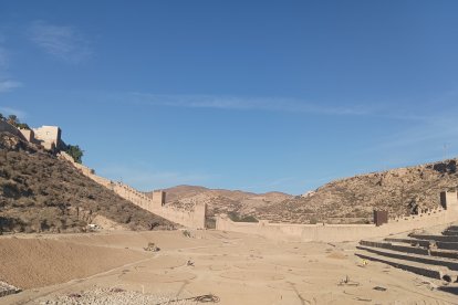 Los roales en los que se realizarán las plantaciones ya están preparados y se pueden distinguir los caminos