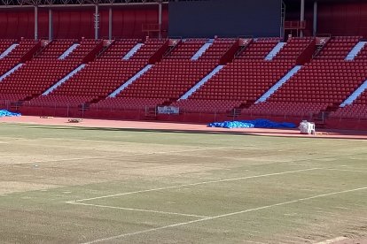 El fondo la Preferencia con un césped cada vez más marrón.