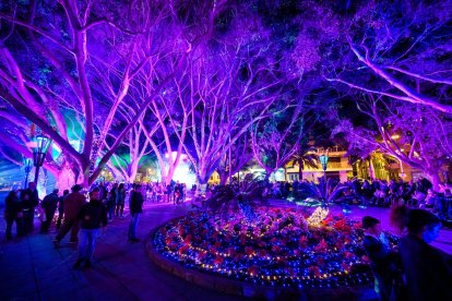 El Parque Nicolás Salmerón convertido en Posidonia. Un mar de luz.
