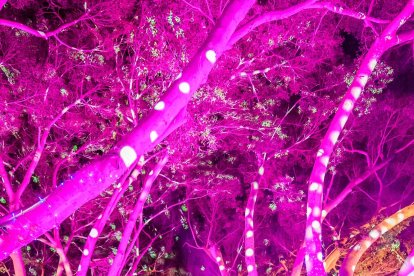 María del Mar Vázquez, alcaldesa de Almería, bajo las luces. 