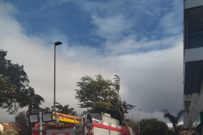 Camión de Bomberos en la Carretera Sierra Alhamilla.