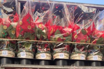 Los 15.000 ejemplares que se repartirán viene a duplicar los pascueros distribuidos en 2021.