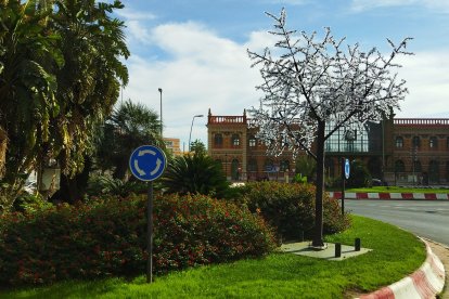 Árbol de luces.