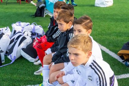 Concentrados en el banquillo del Madrid.