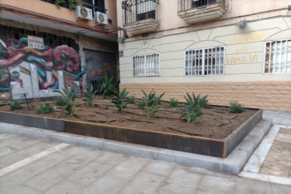 Nueva zona verde en la plaza Masnou, a falta de la plantación de naranjos.