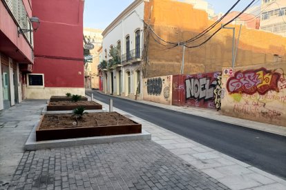 Nuevos parterres en la antigua zona de aparcamiento de la calle Real.