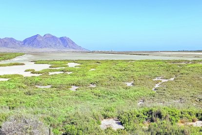 Julio: Las Salinas de Cabo de Gata se secan.