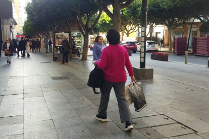 Mujer con sus compras.