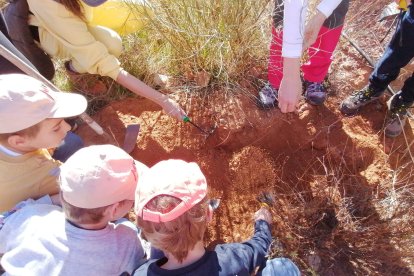 Pequeños y mayores plantando árboles en Almócita.