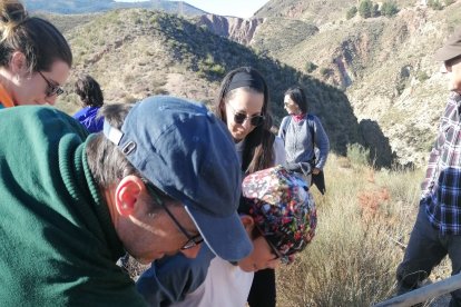 Familias plantando juntas.