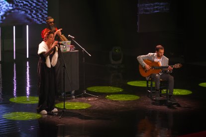 Actuación musical de The Gardener.