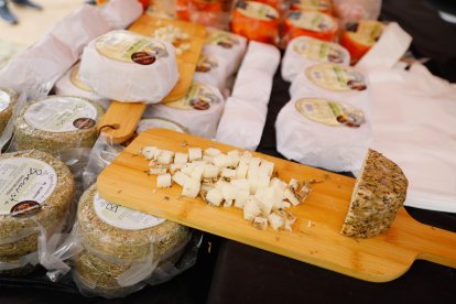Los mejores quesos artesanales de España en la Plaza Vieja.