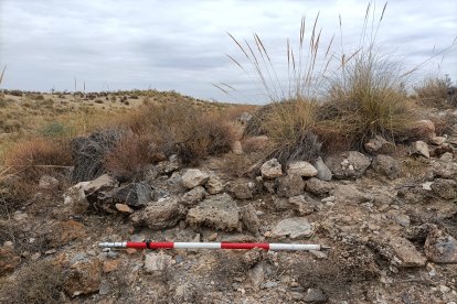 Estructura de un posible tholos neolítico 