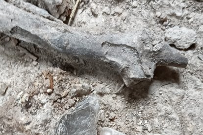 Lapis specularis casi limpio y que permite ver la nitidez del material