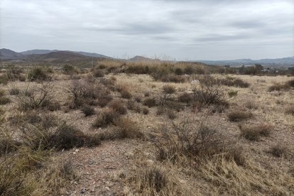 Zona en la que aparecen restos cerámicos de época neolítica