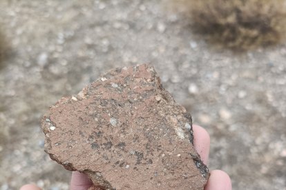 Cerámicas aparecidas cerca del tholos neolítico en la zona del posible poblado