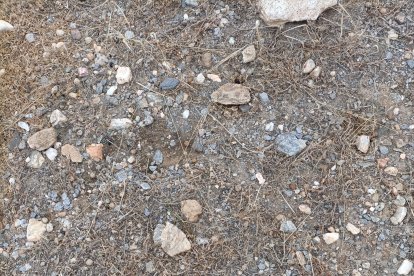 Cerámicas aparecidas cerca del tholos neolítico en la zona del posible poblado