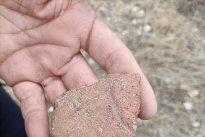 Cerámicas aparecidas cerca del tholos neolítico en la zona del posible poblado