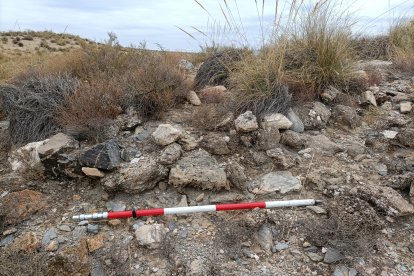 Imagen de la estructura que podría ser un tholos neolítico